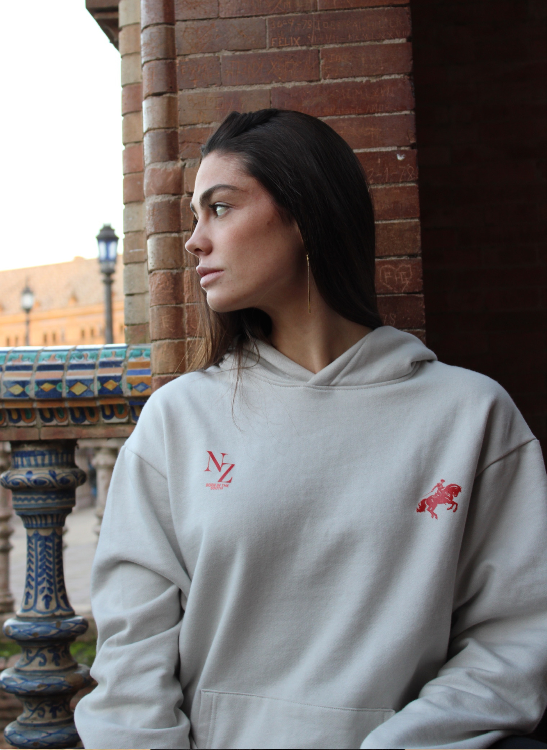 FROM THE SOUTH HOODIE